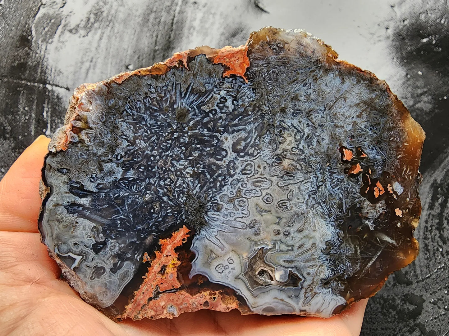 Sagenite Agate