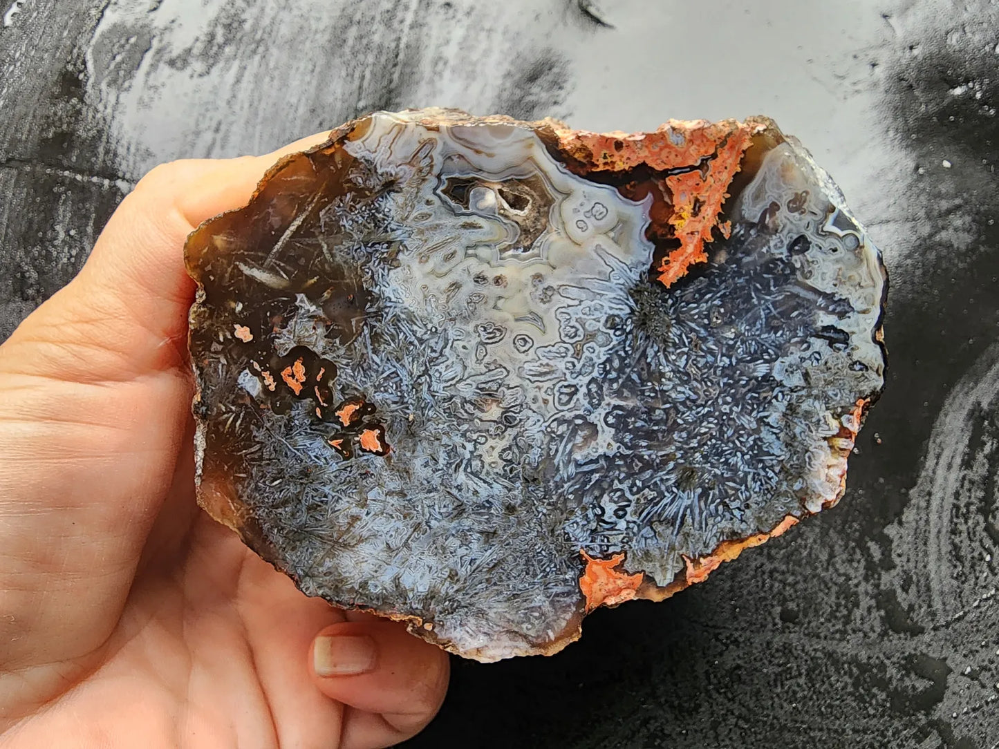 Sagenite Agate