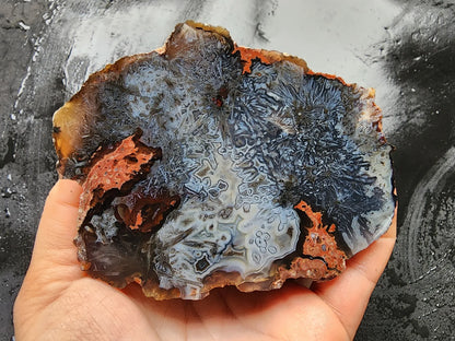 Sagenite Agate