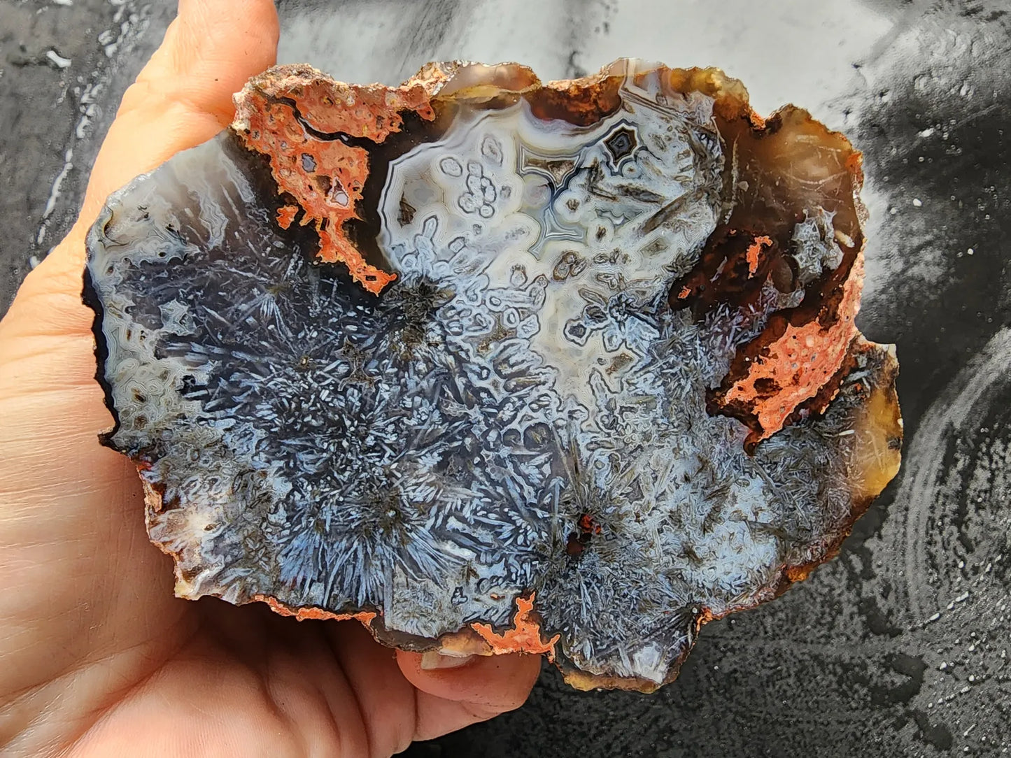 Sagenite Agate