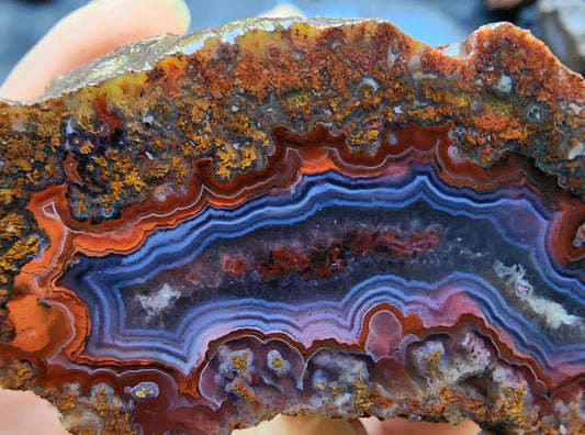 Colorful Floater & Plume Agate