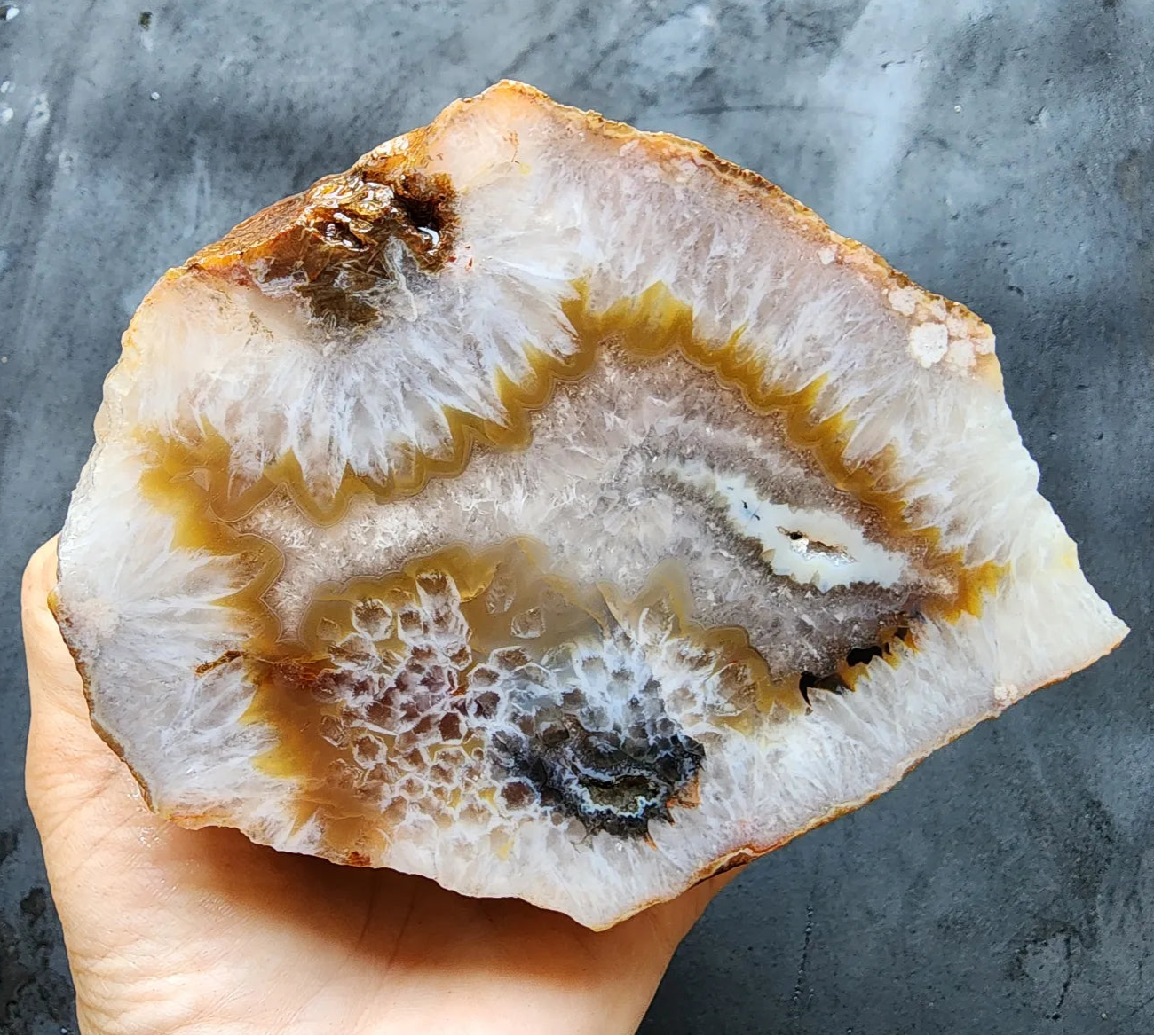 Crystal Agate- Crystal Fish