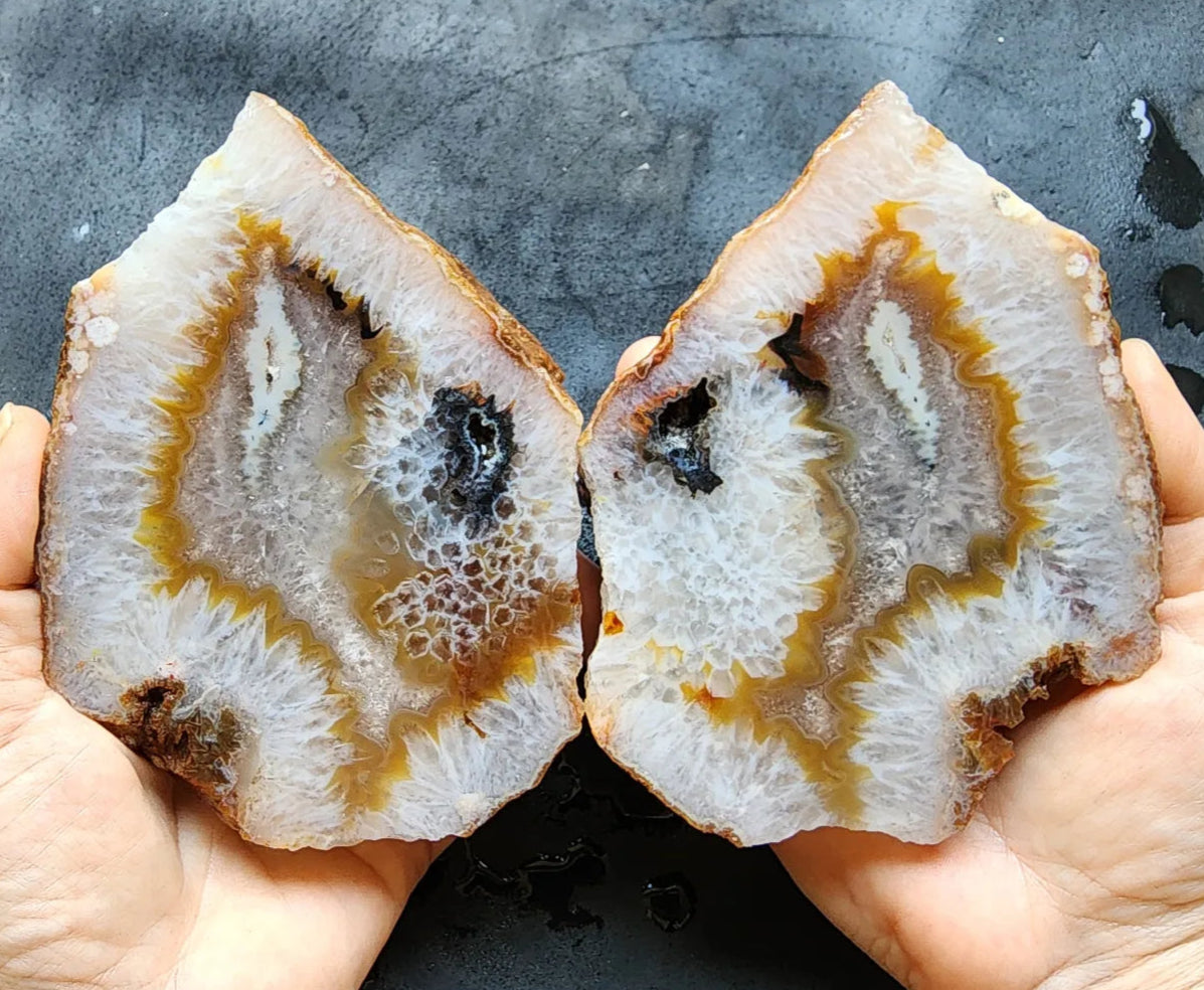 Crystal Agate- Crystal Fish