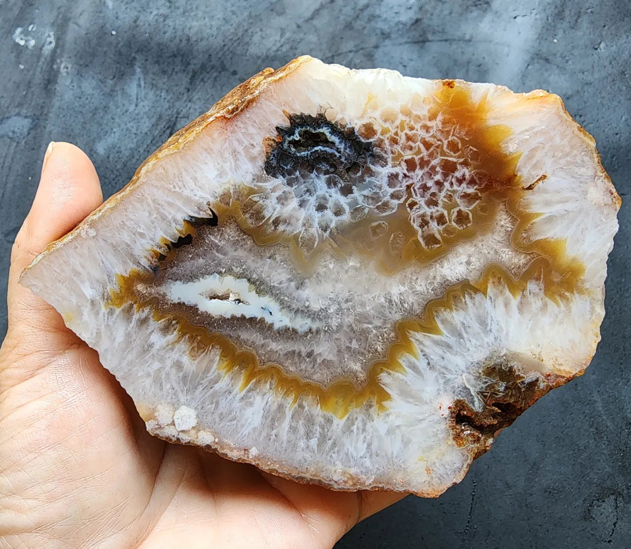 Crystal Agate- Crystal Fish