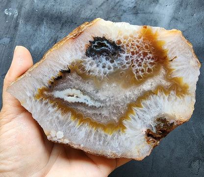 Crystal Agate- Crystal Fish