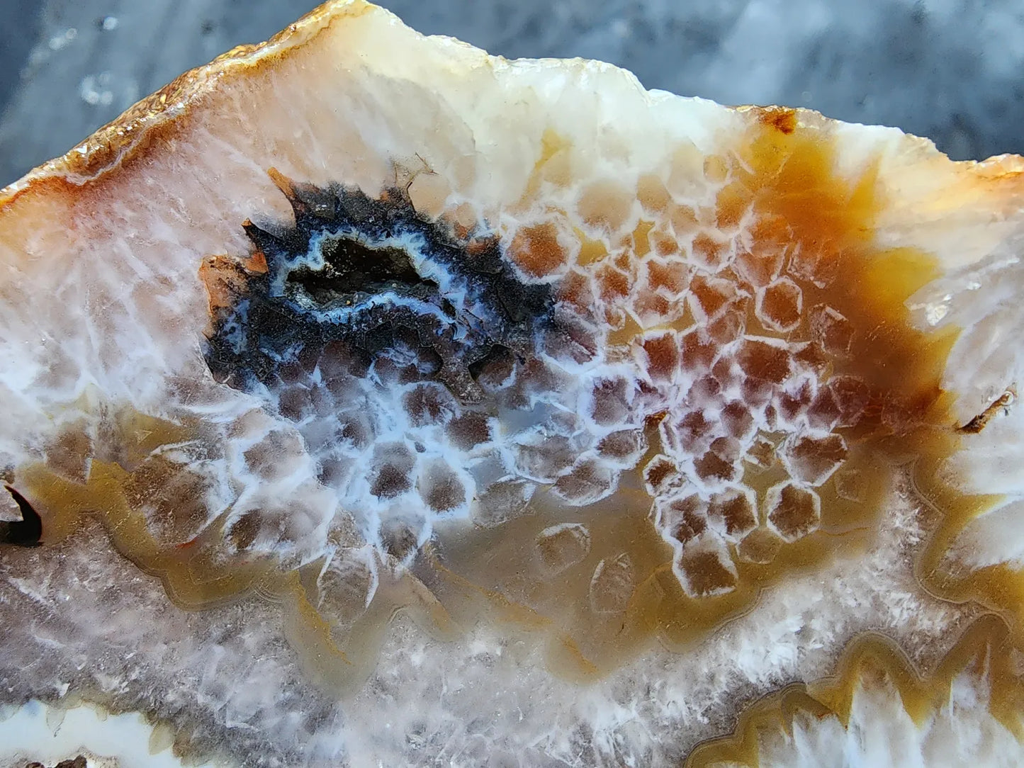 Crystal Agate- Crystal Fish