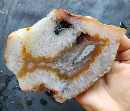 Crystal Agate- Crystal Fish