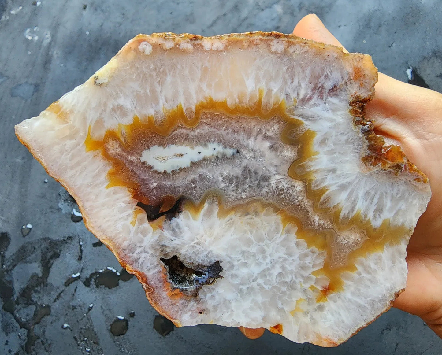 Crystal Agate- Crystal Fish