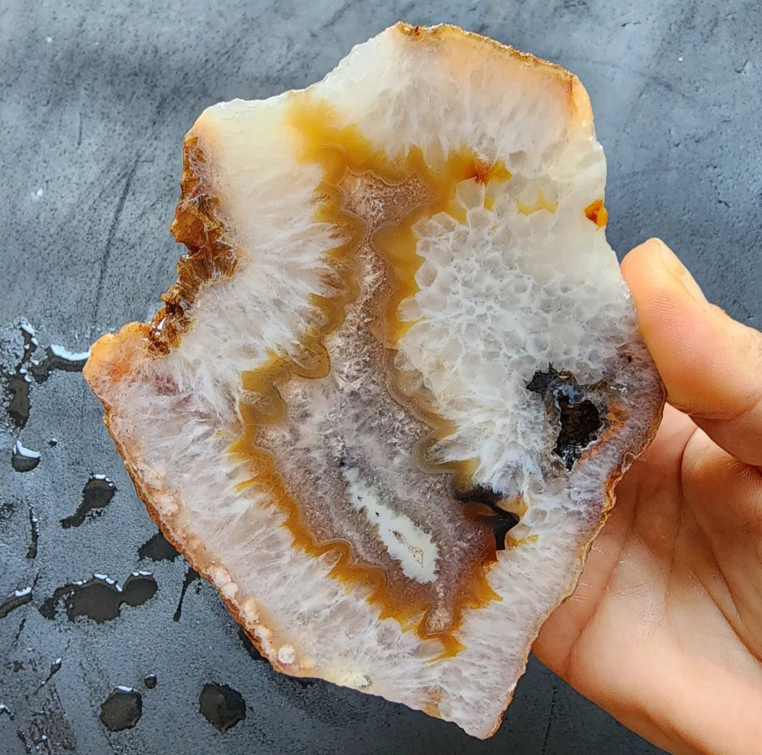 Crystal Agate- Crystal Fish