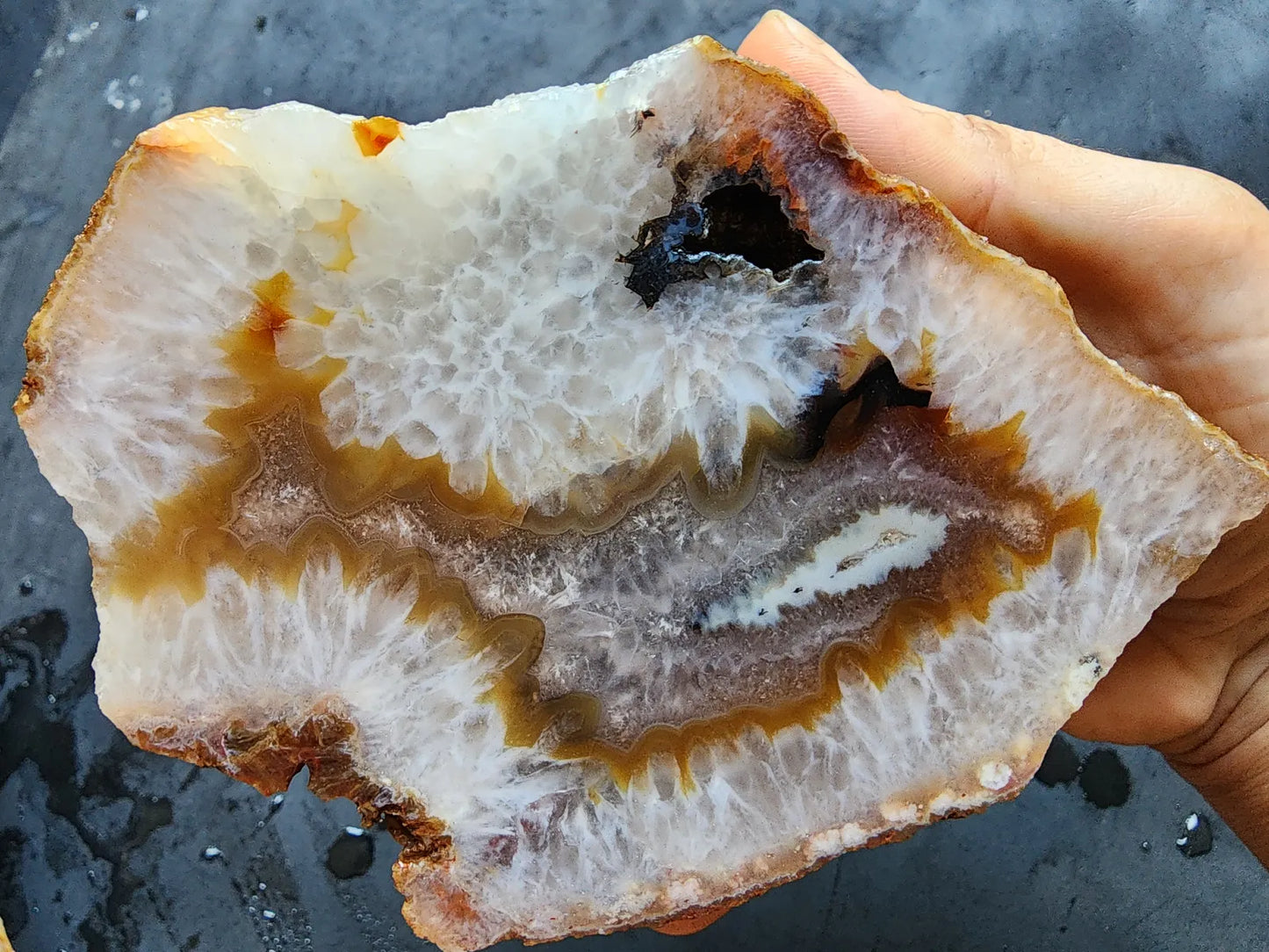 Crystal Agate- Crystal Fish