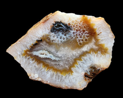 Crystal Agate- Crystal Fish