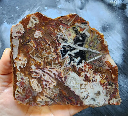 Abstract Agate Slice