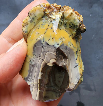 Dendritic Opal Rough Lot