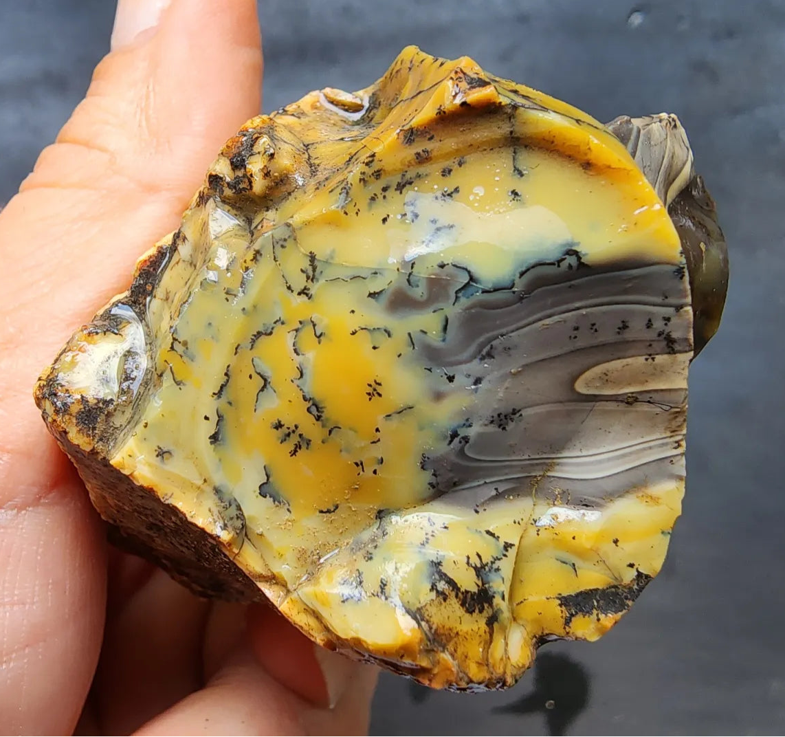 Dendritic Opal Rough Lot
