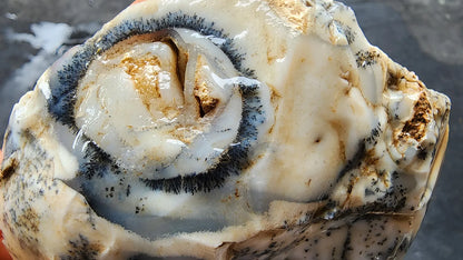 Dendritic Opal Decorative Rock
