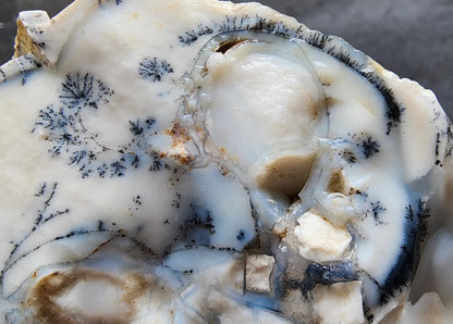 Dendritic Opal Decorative Rock