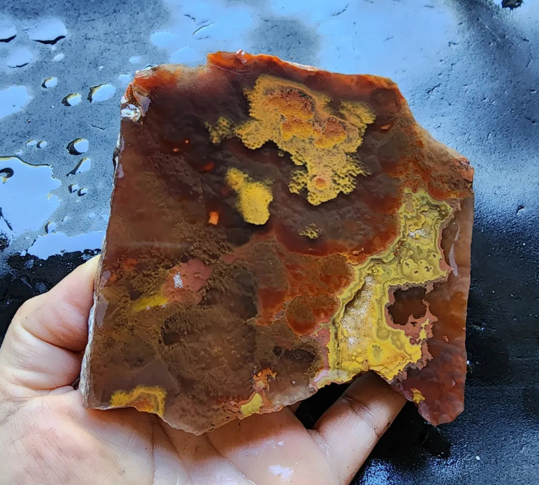 Unusual  Beautiful Agate