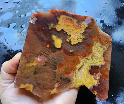 Unusual  Beautiful Agate