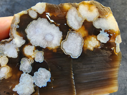 Flower Agate Pair