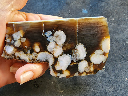 Flower Agate Pair