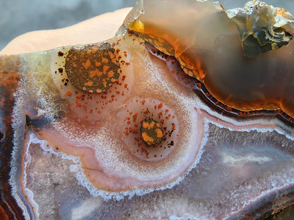 Eye Agate - Big Smile
