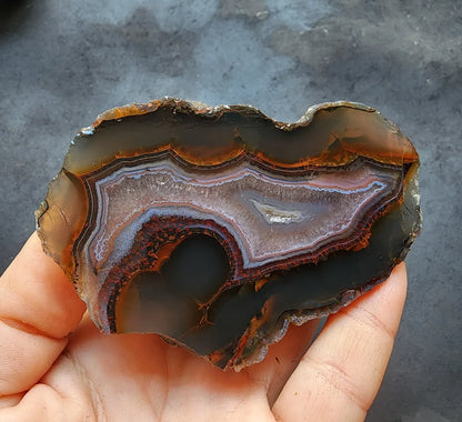 Eye Agate - Big Smile