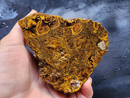 Beautiful Rough Agate