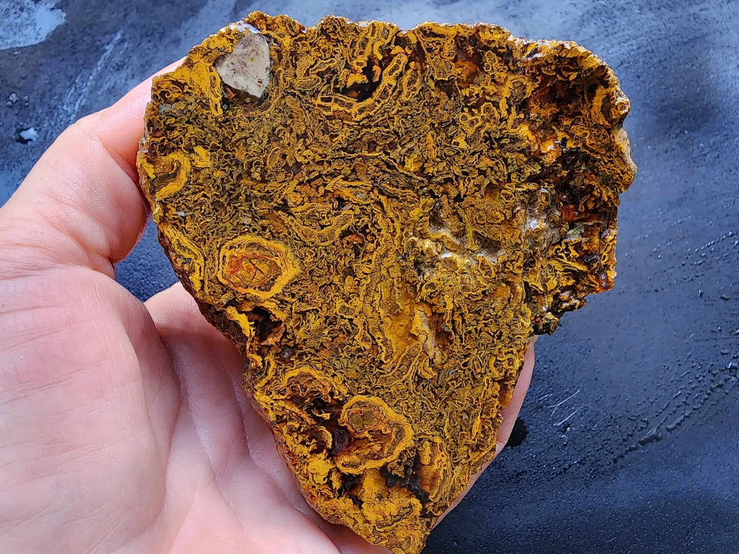 Beautiful Rough Agate