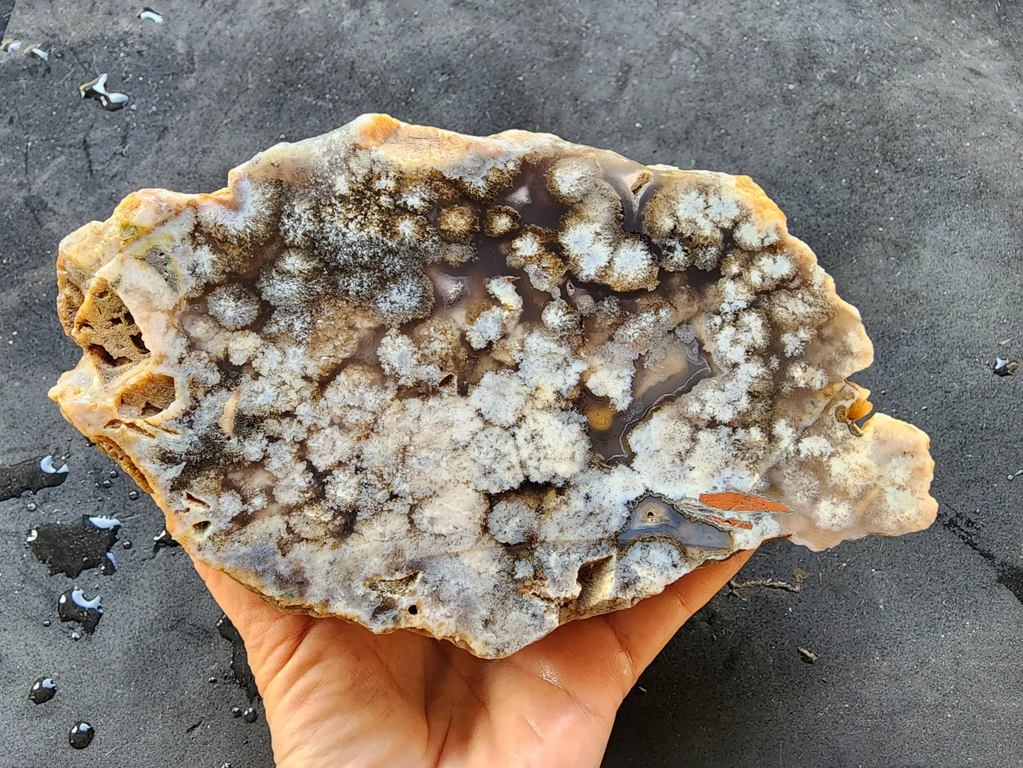 Big Agate Slab