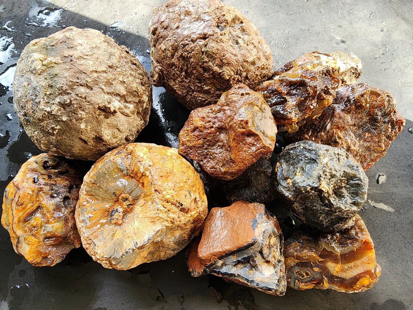 14.5 lbs Uncut Agate Stones