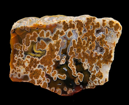 Plume Agate Rough