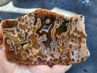 Plume Agate Rough