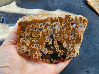 Plume Agate Rough