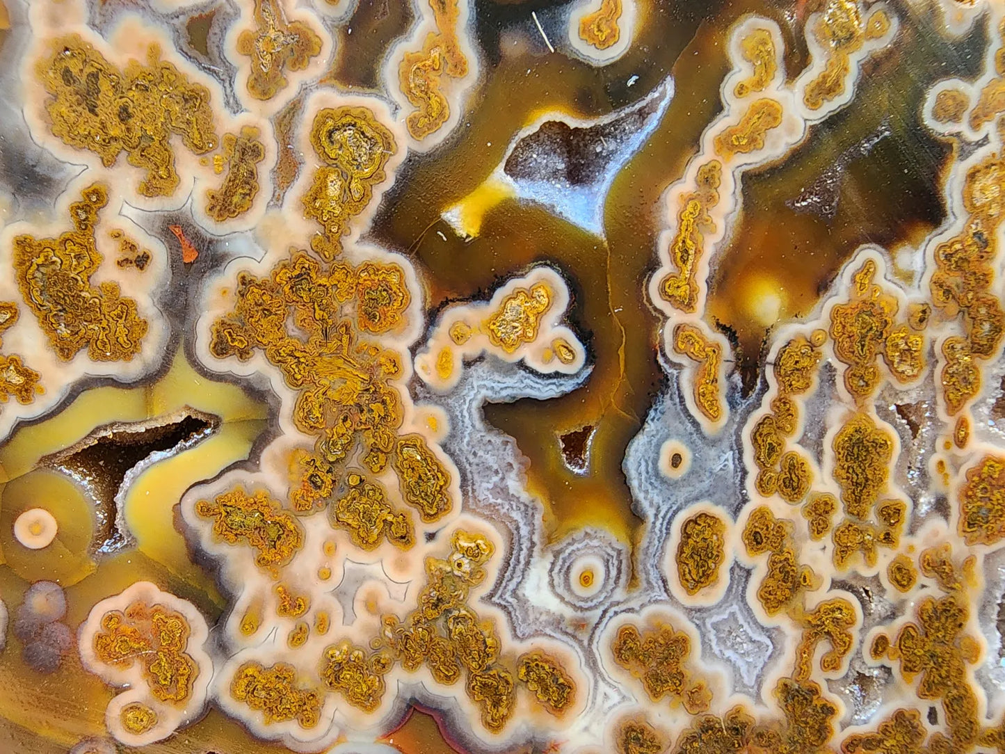 Plume Agate Rough