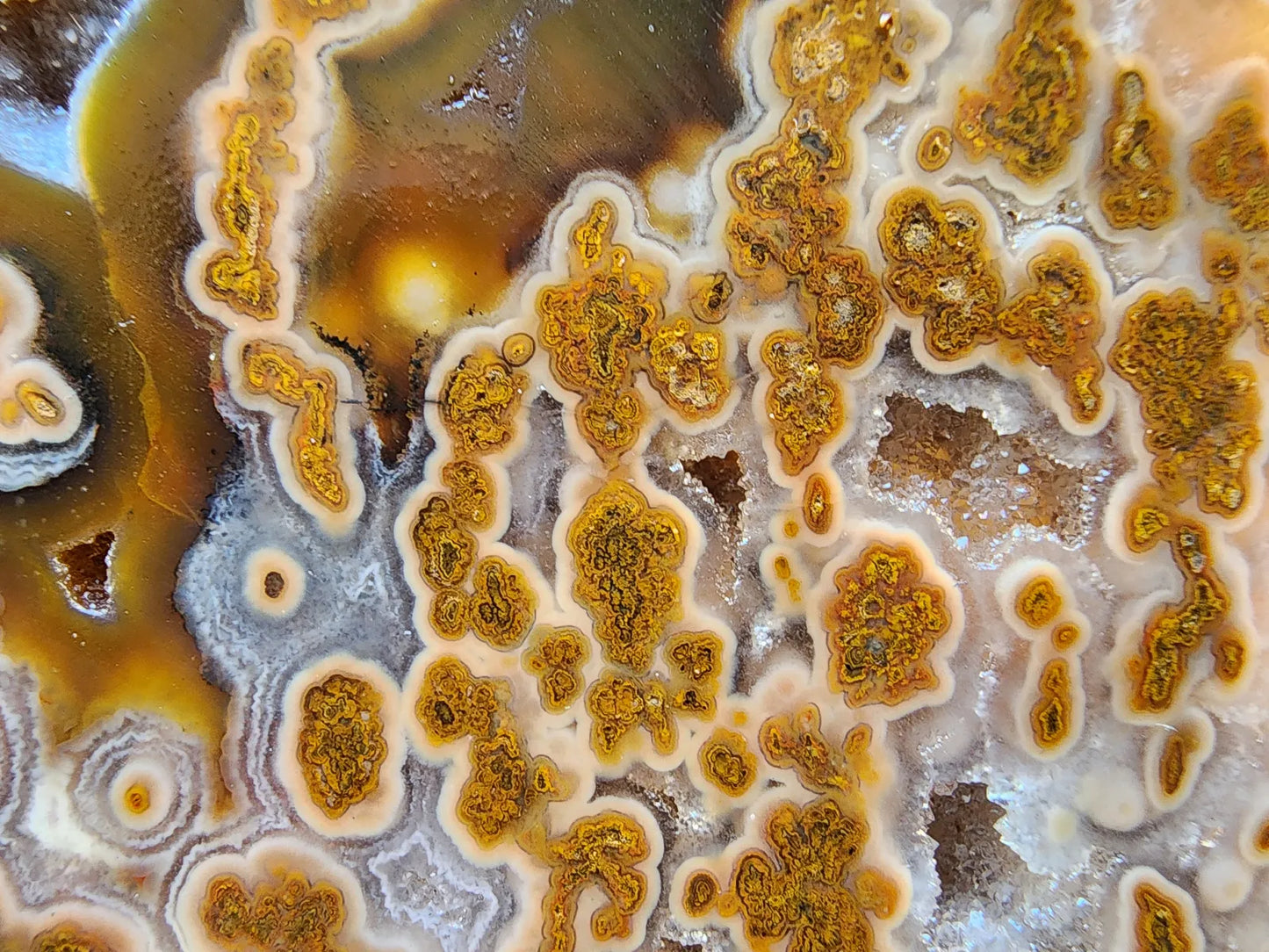 Plume Agate Rough