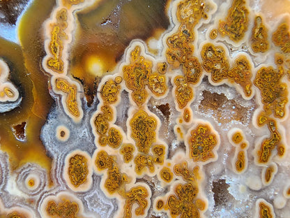 Plume Agate Rough