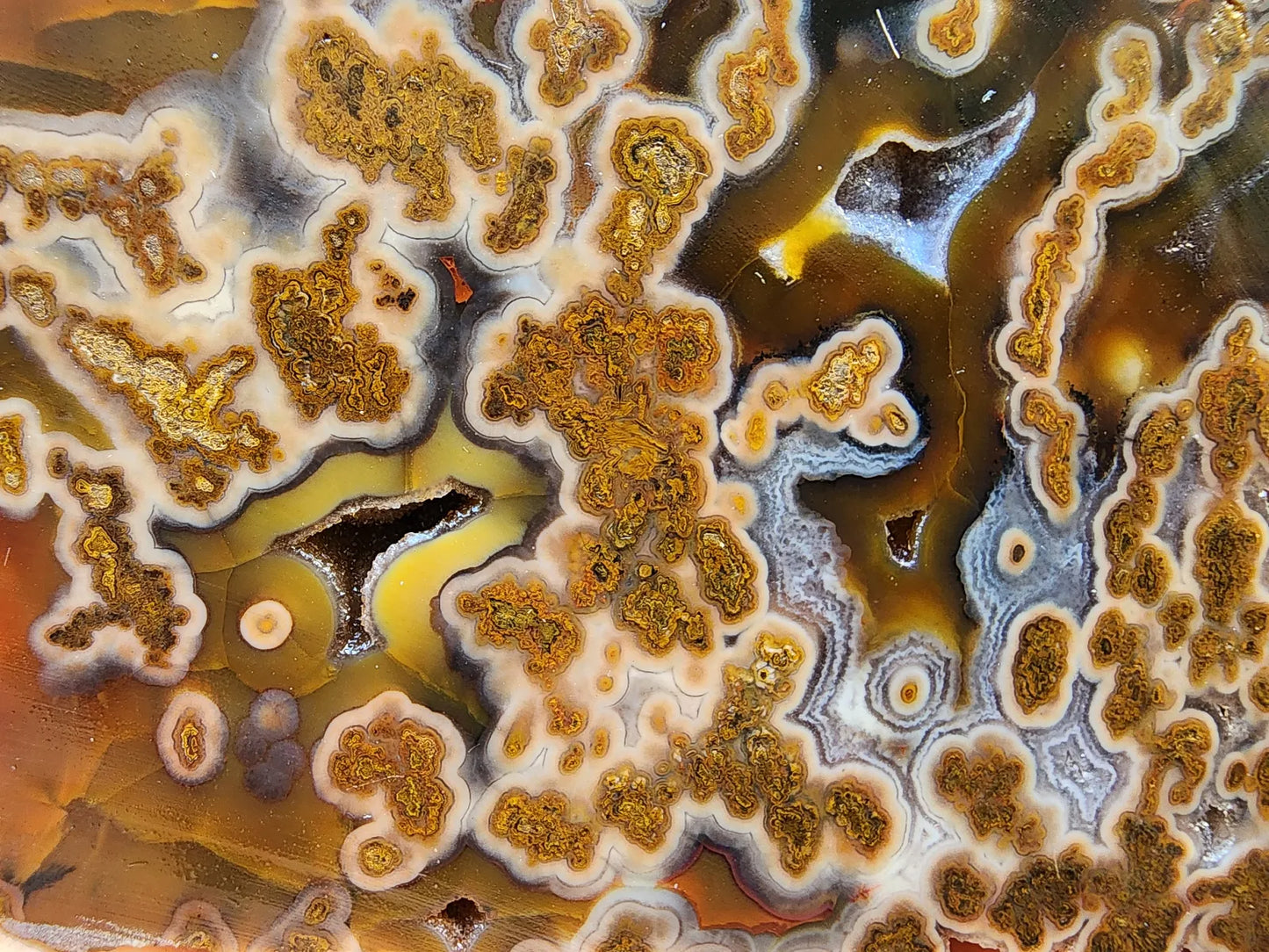 Plume Agate Rough