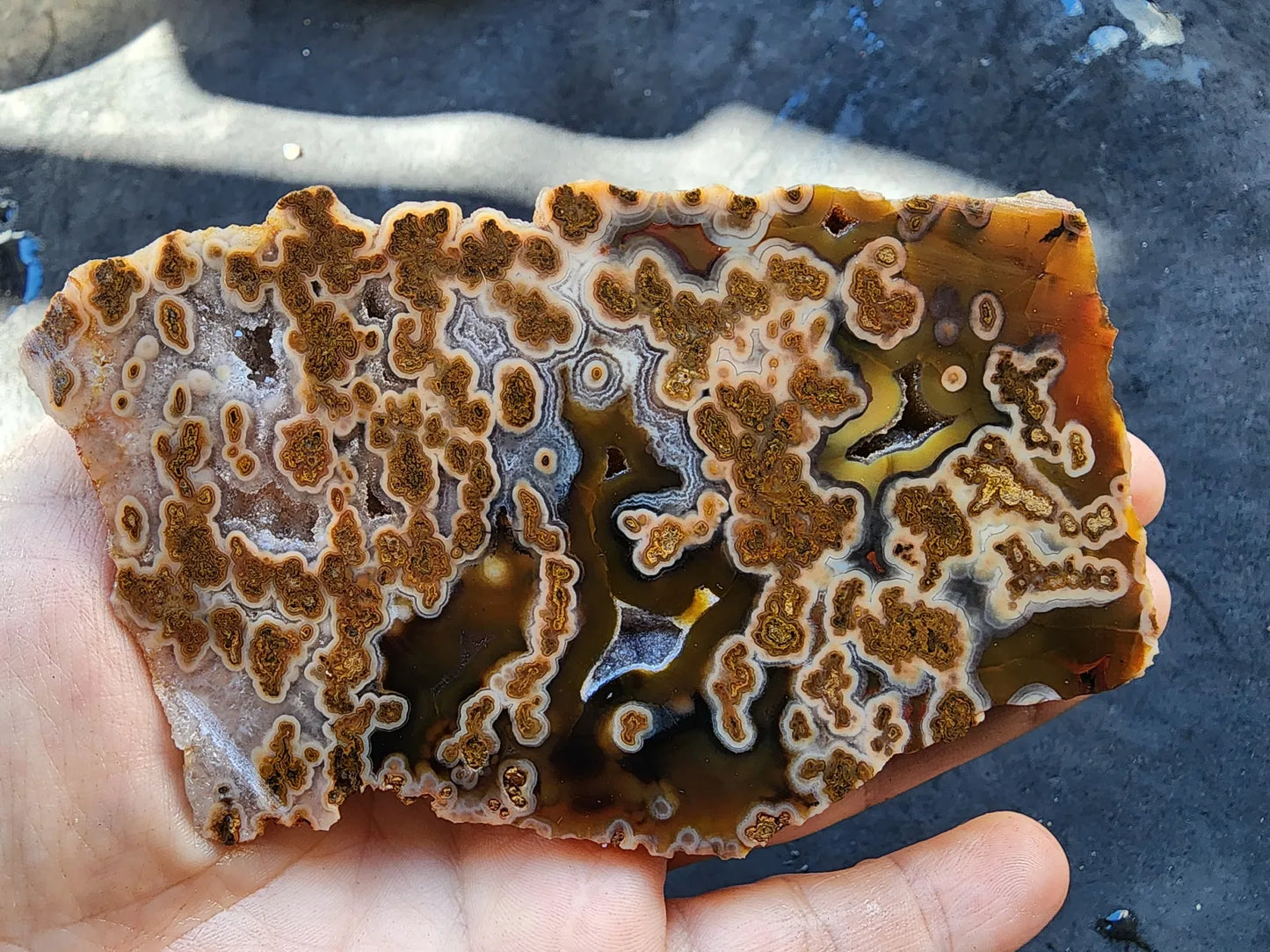 Plume Agate Rough