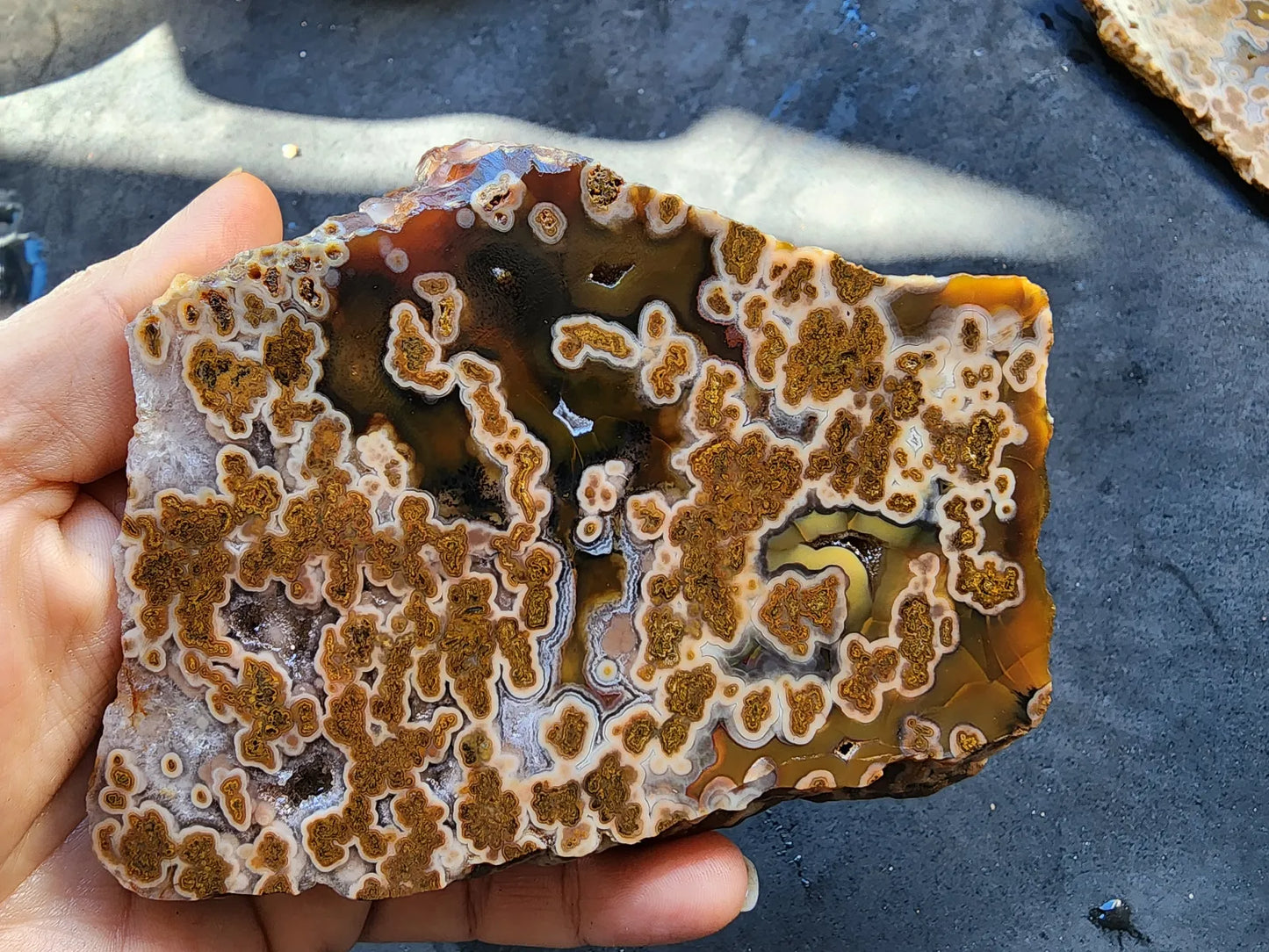 Plume Agate Rough