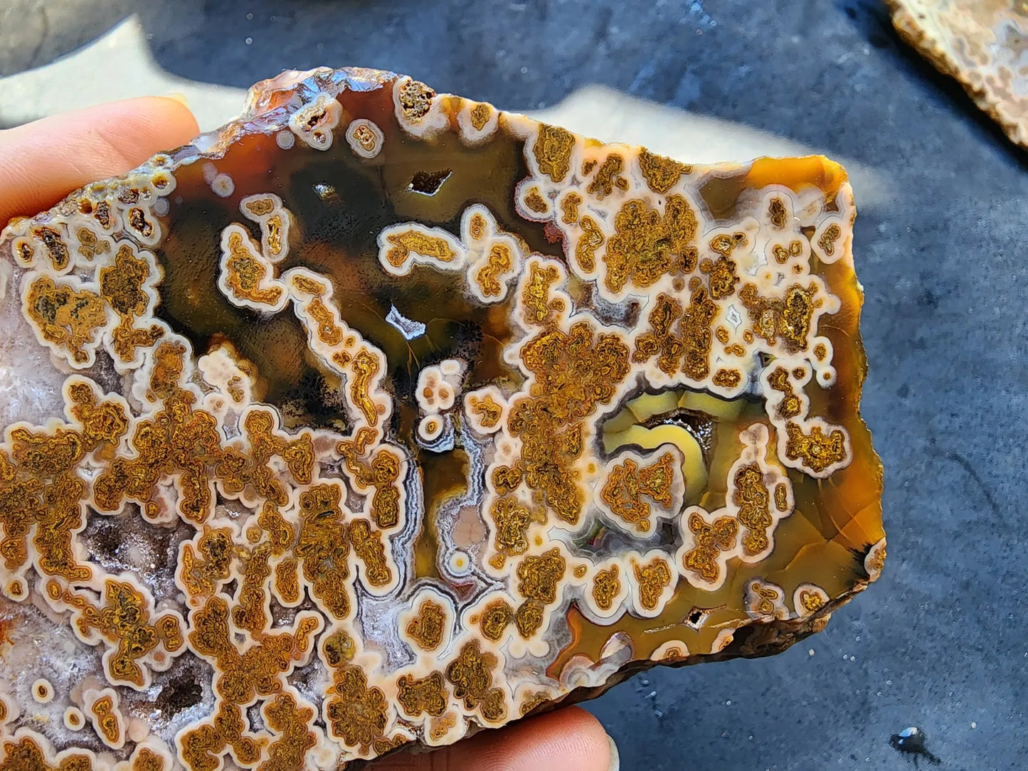 Plume Agate Rough