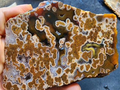 Plume Agate Rough