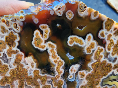 Plume Agate Rough