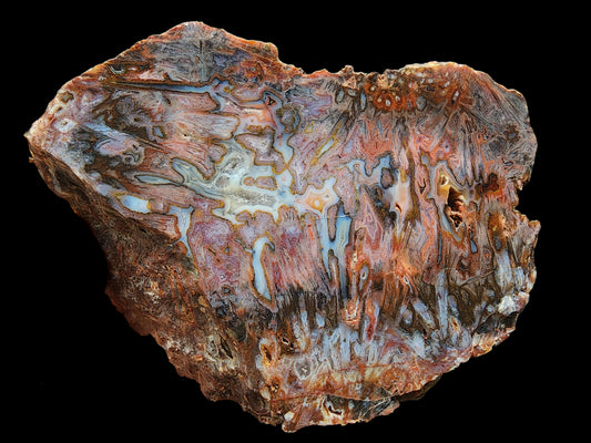 Big Pseudomorph Agate