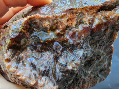 Natural Agate Display