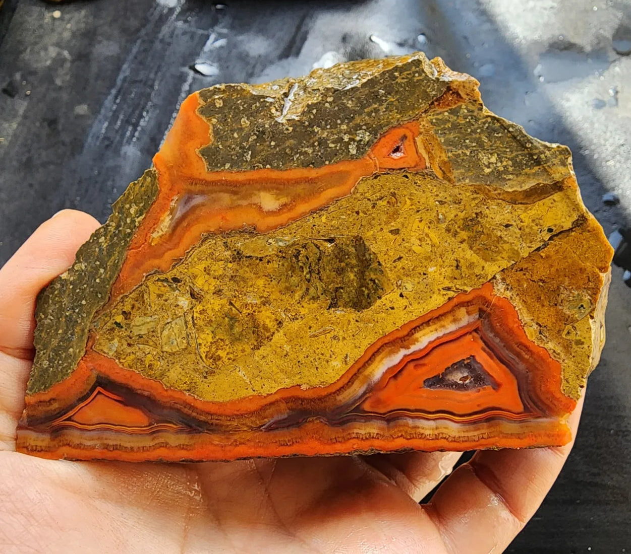 Black Sea Agate