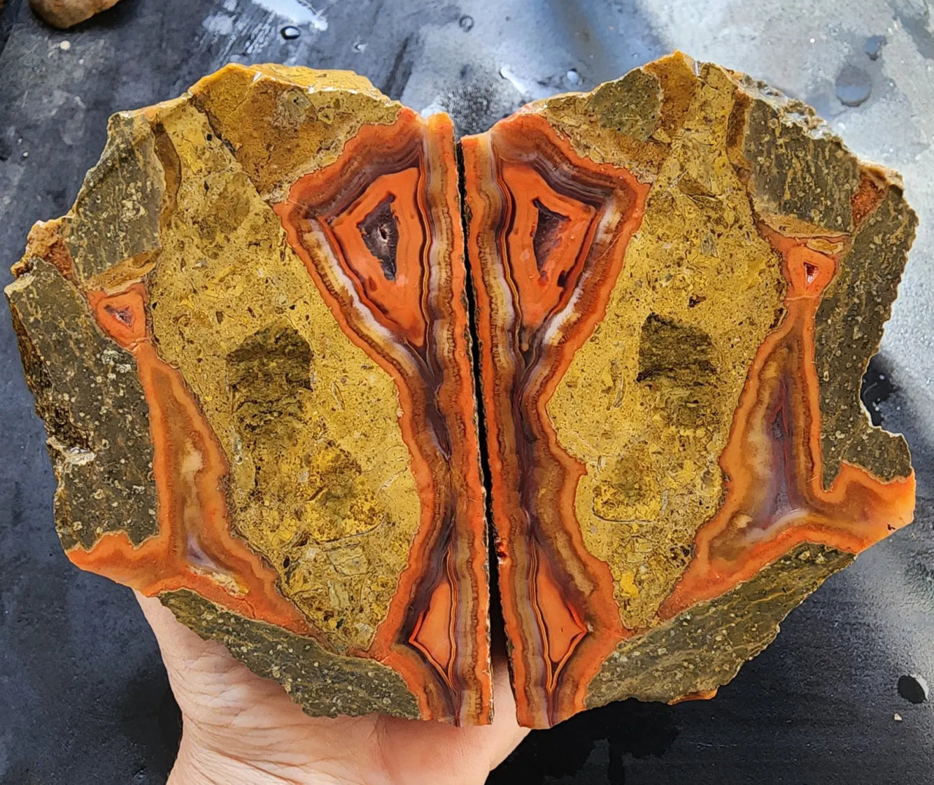 Black Sea Agate
