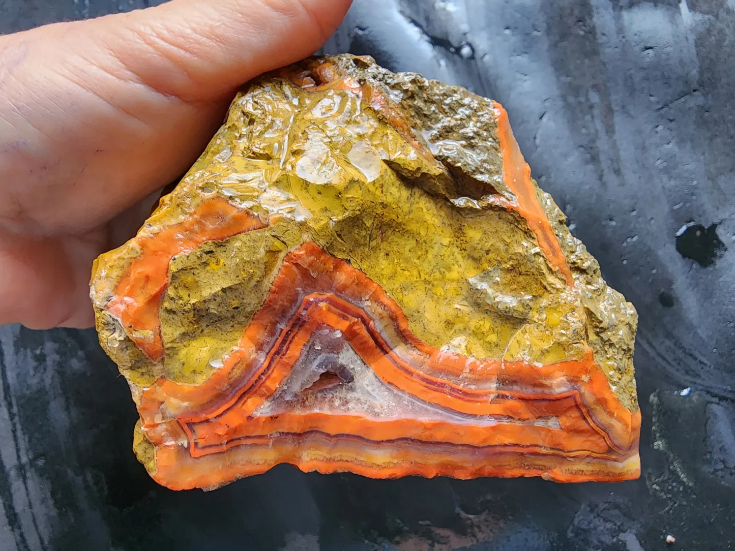 Black Sea Agate