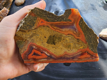 Black Sea Agate