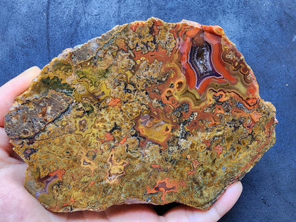 Colorful Plume Agate