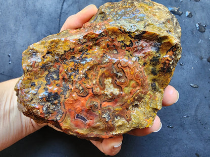 Colorful Plume Agate